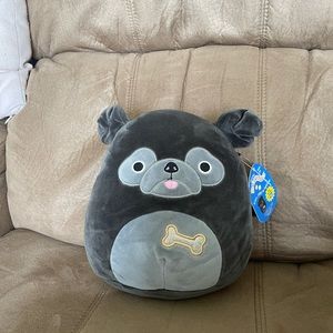 Bongo Squishmallow 8”
